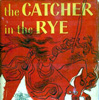 Catcher cover